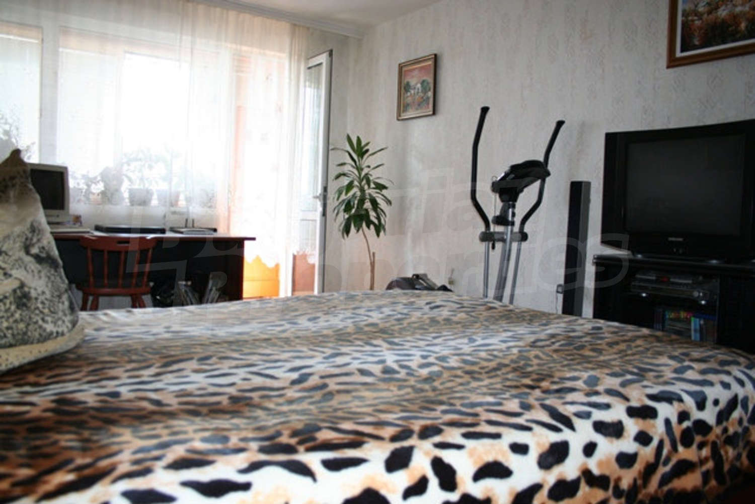 Gallery Picture 15