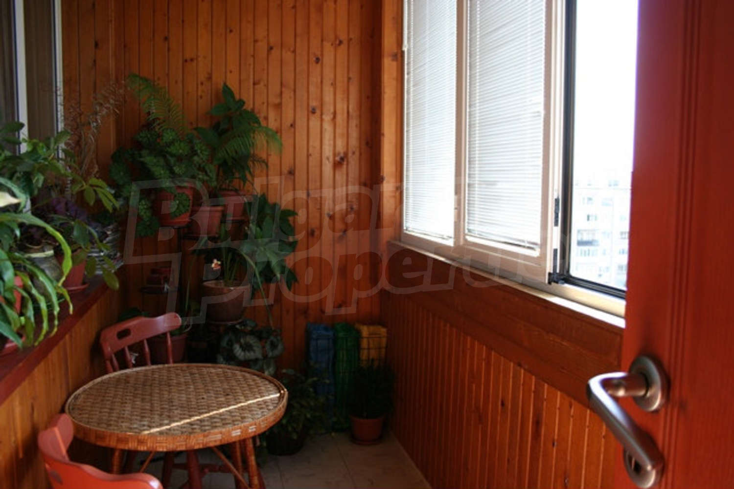 Gallery Picture 19