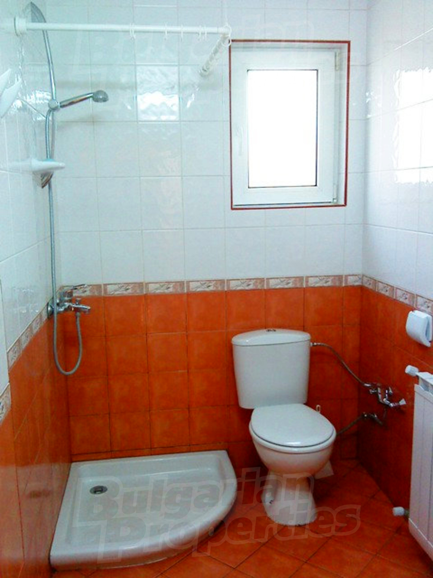 Gallery Picture 17