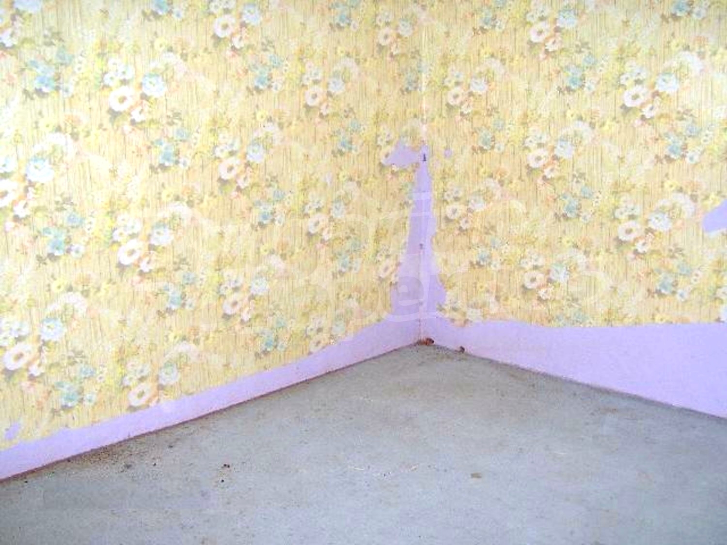 Gallery Picture 3