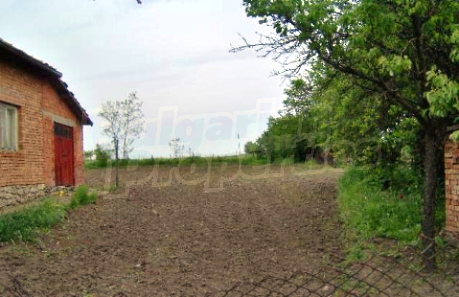 Gallery Picture 5