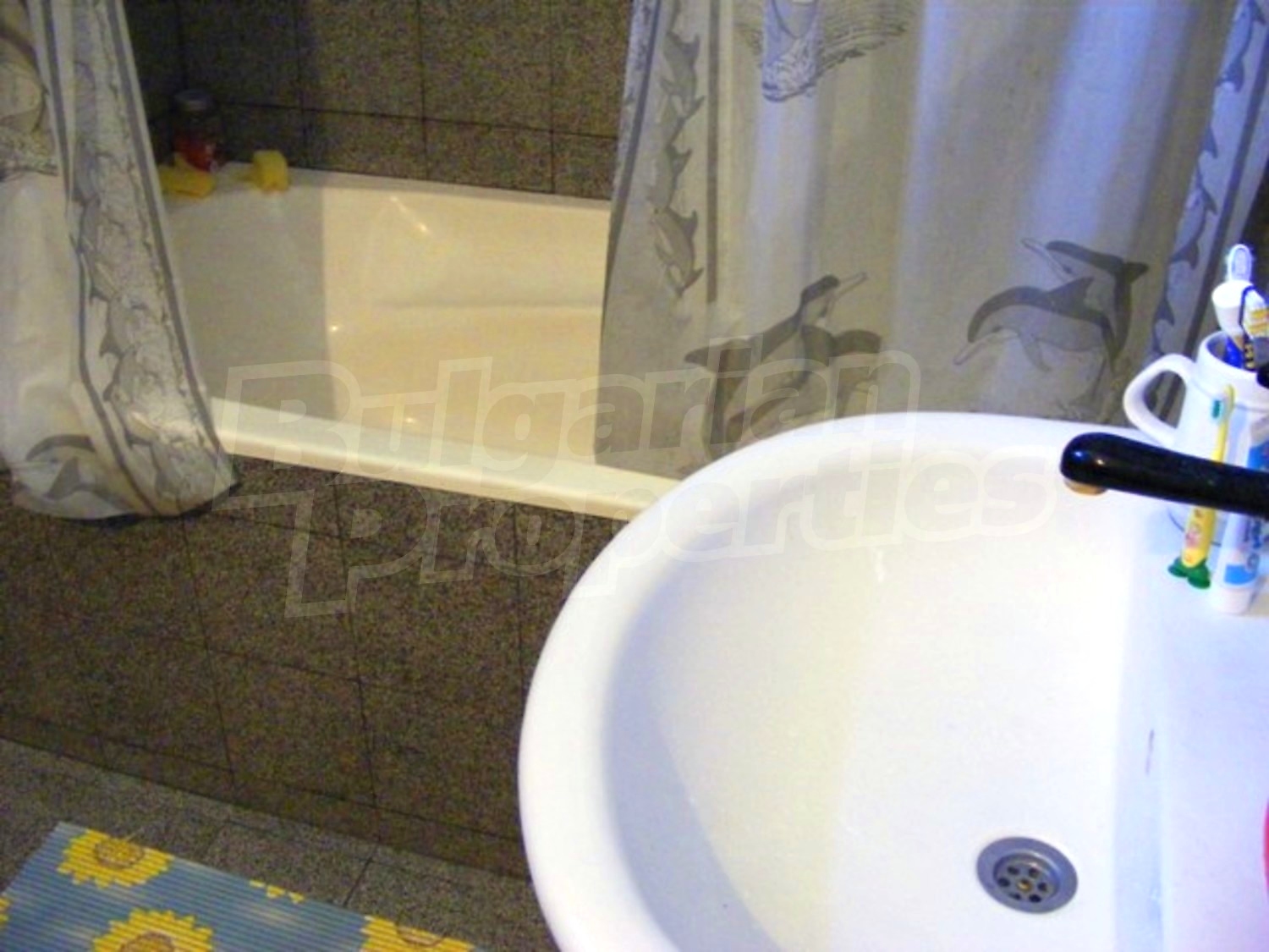 Gallery Picture 19