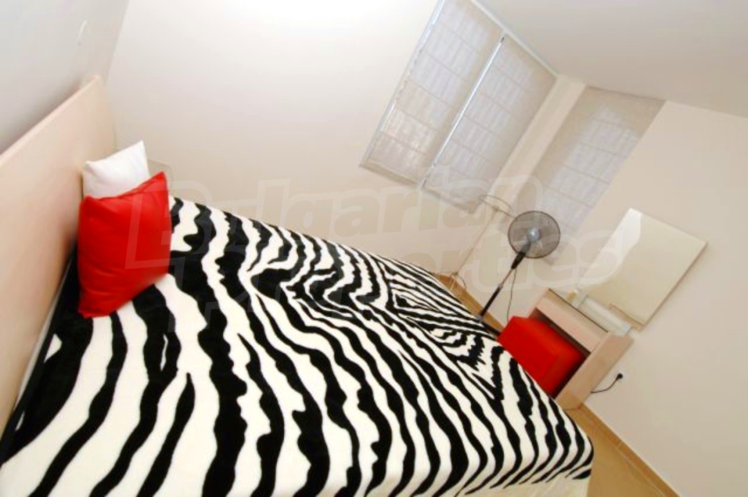 Gallery Picture 9