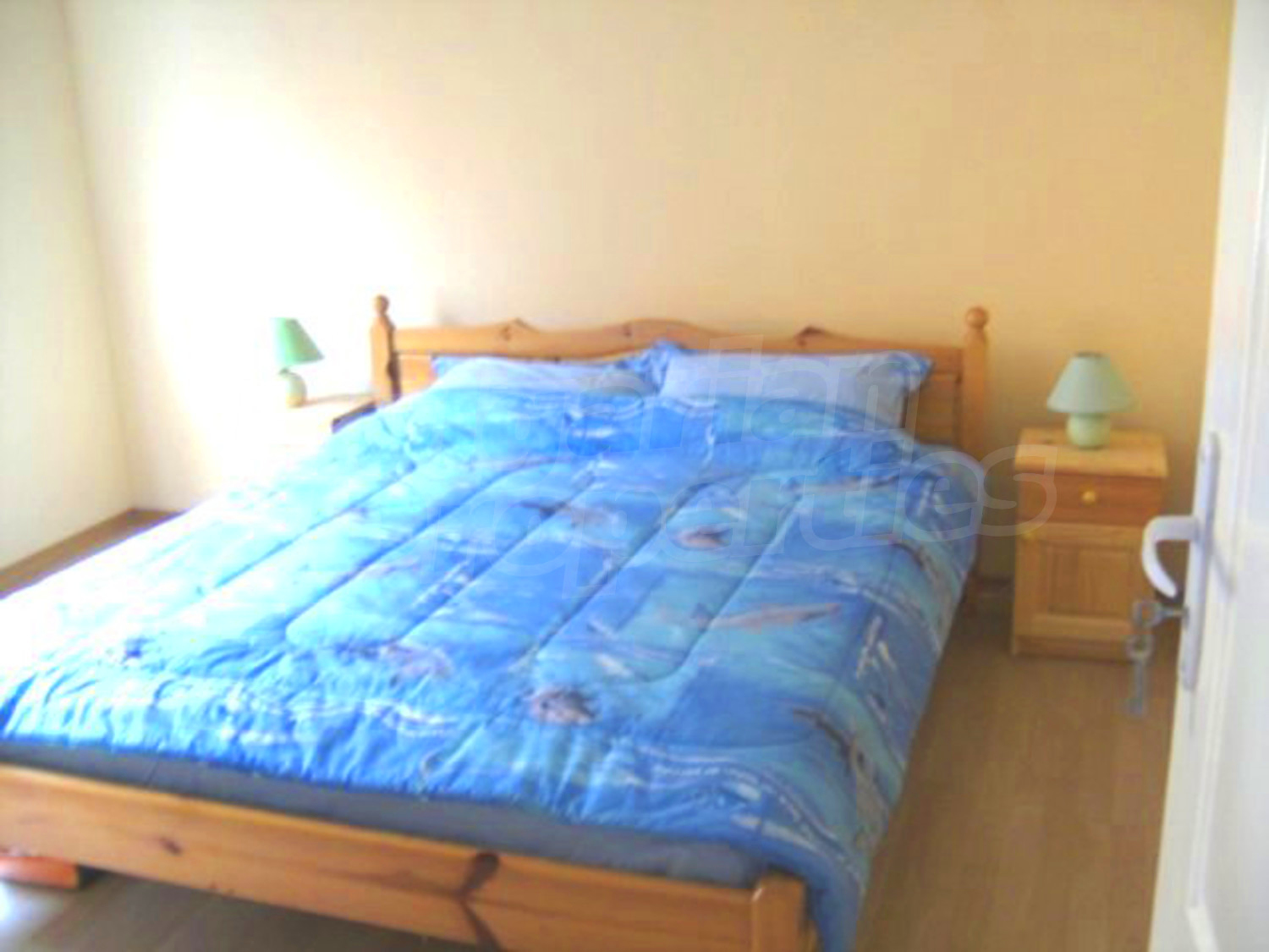 Gallery Picture 7