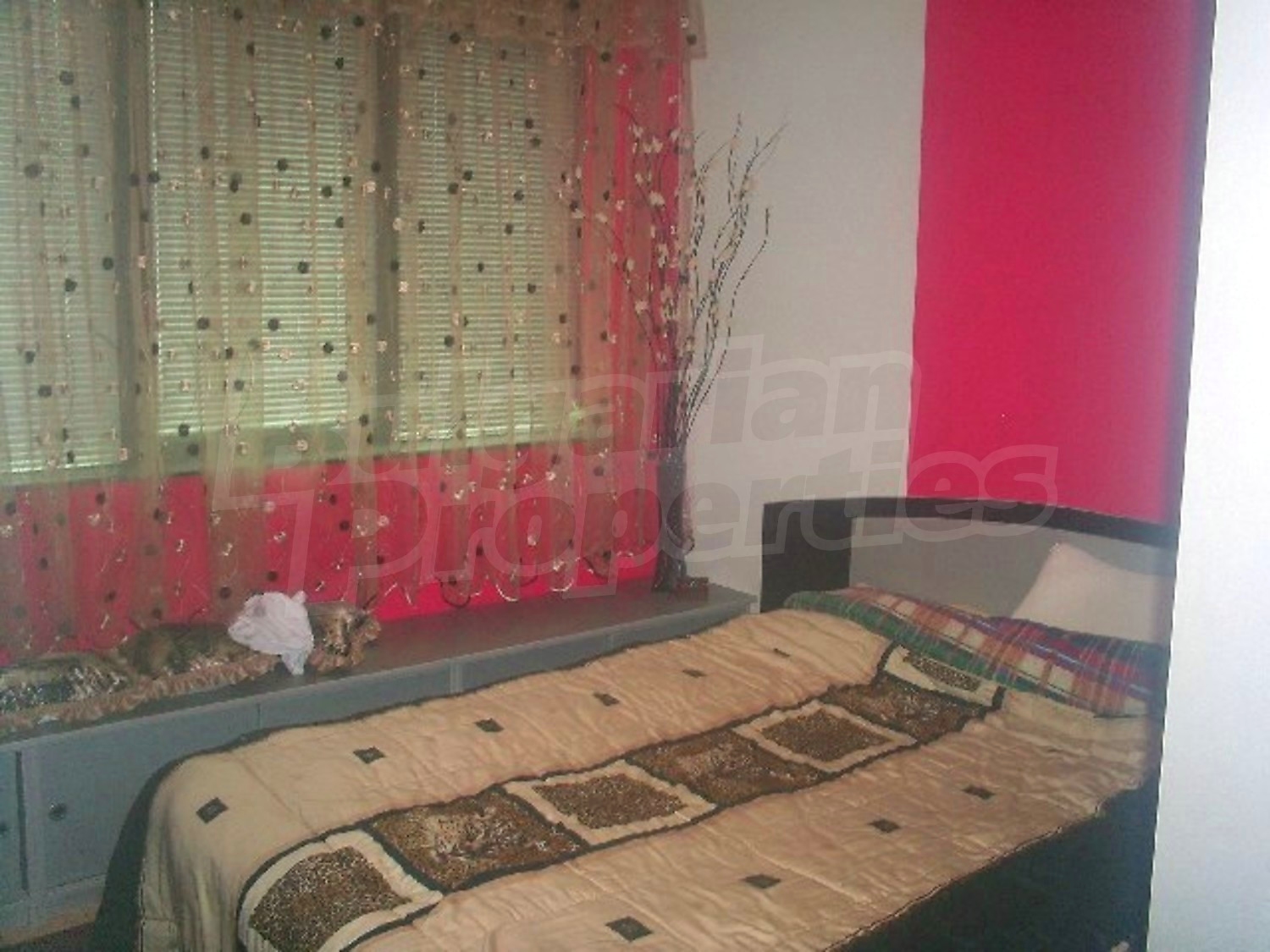 Gallery Picture 10