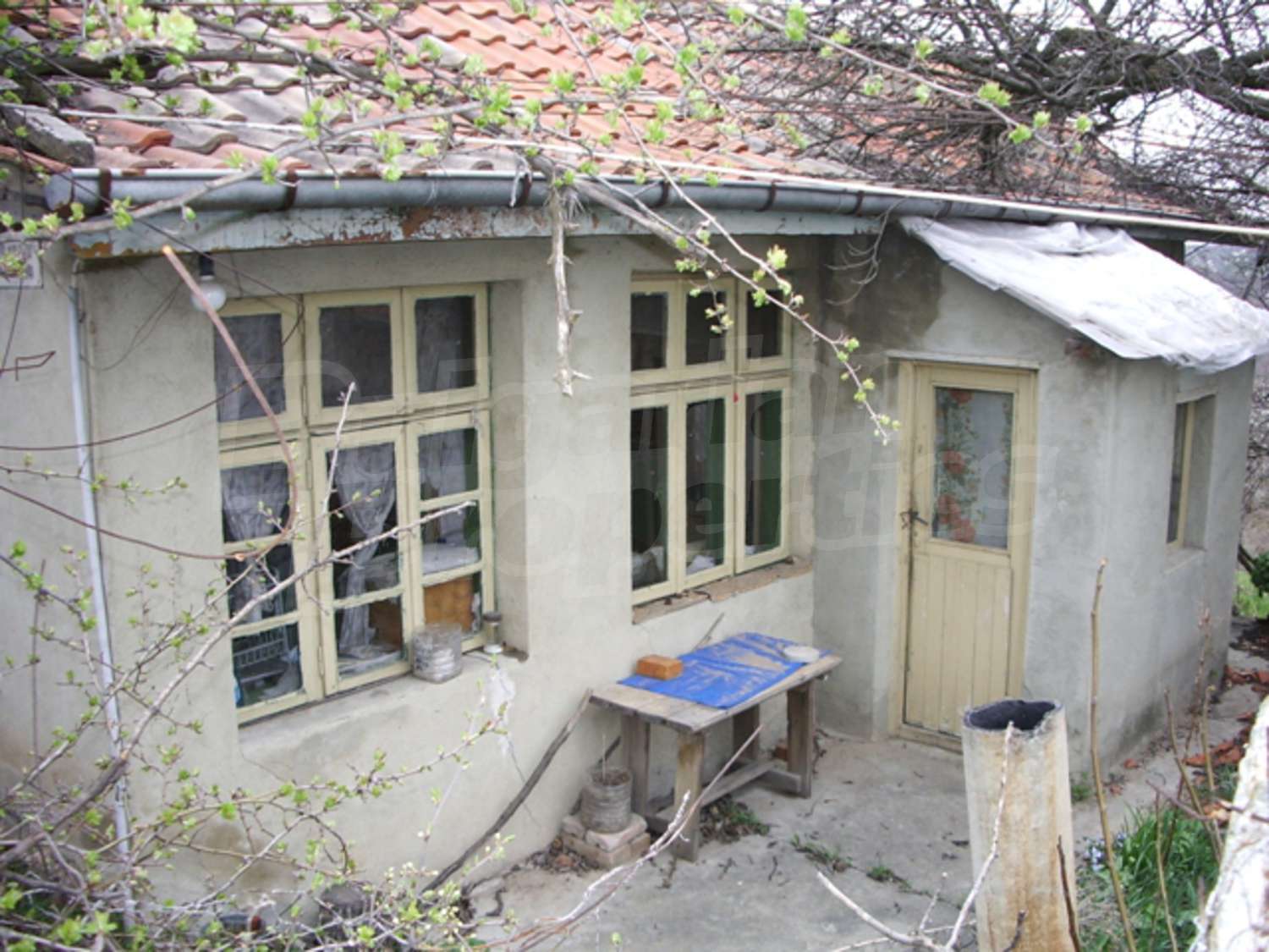 Gallery Picture 4