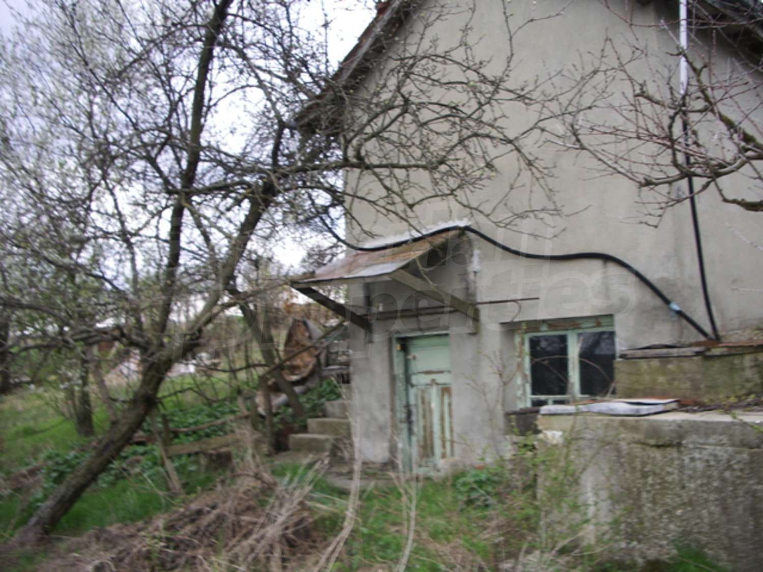 Gallery Picture 5