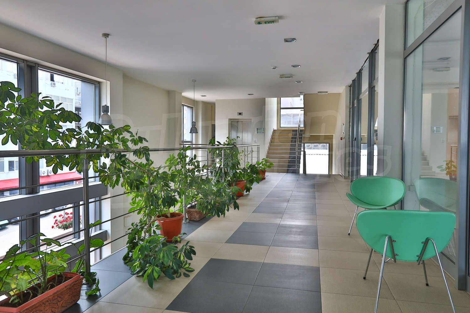 Gallery Picture 11