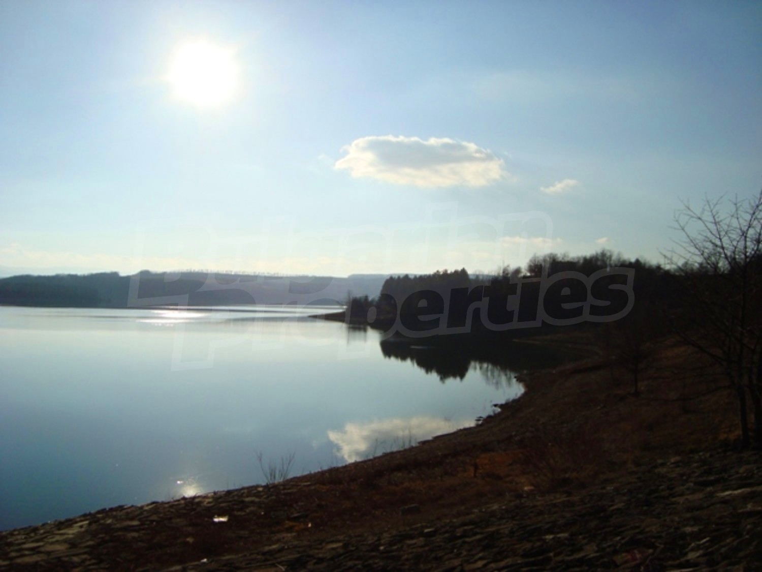 Gallery Picture 16