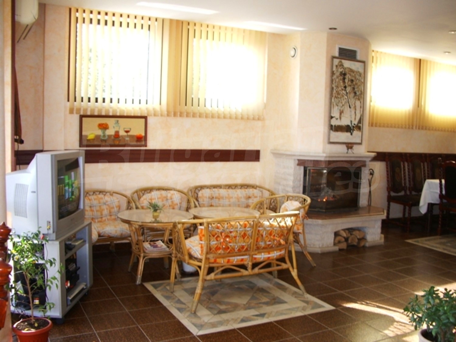 Gallery Picture 8
