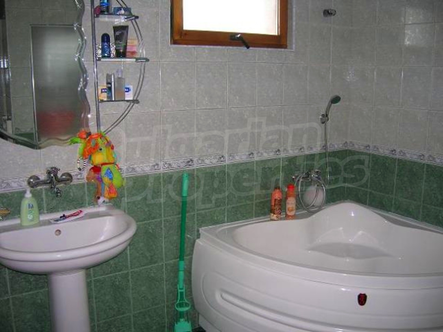 Gallery Picture 11