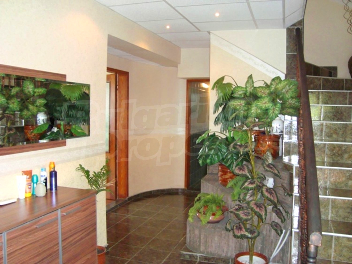 Gallery Picture 17
