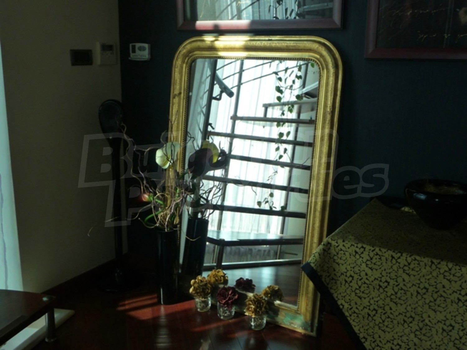 Gallery Picture 23