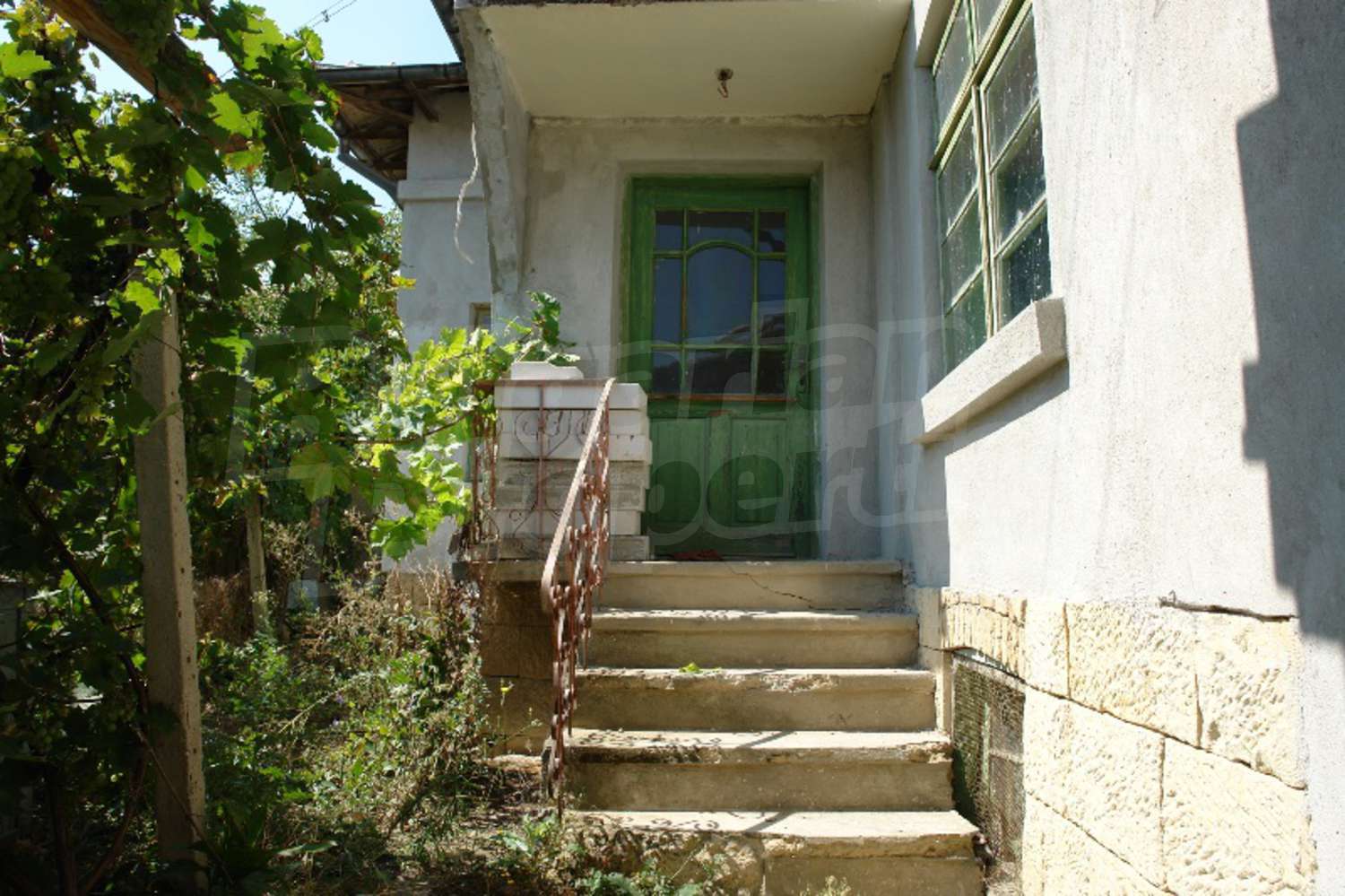 Gallery Picture 10