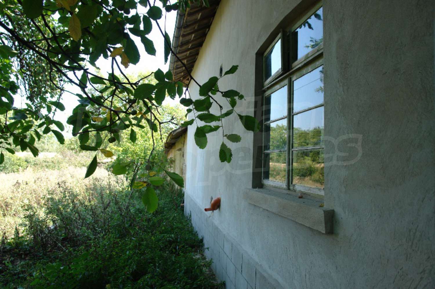 Gallery Picture 16