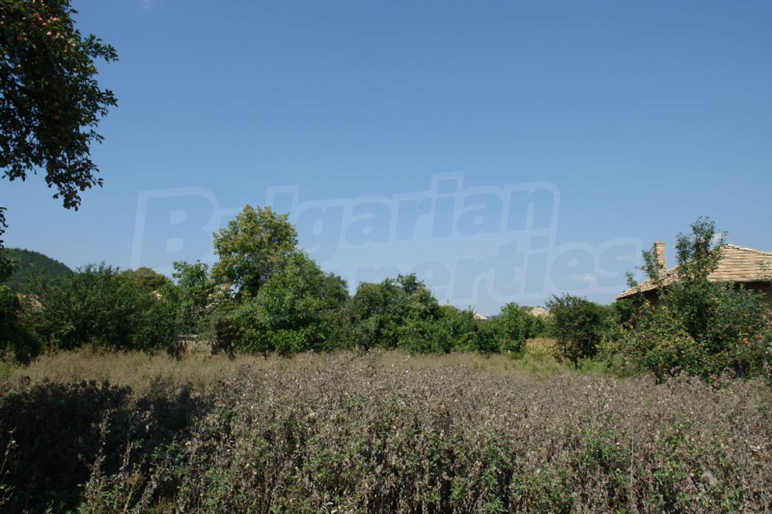 Gallery Picture 19