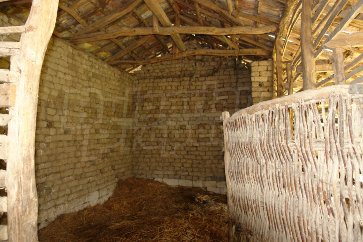 Gallery Picture 8