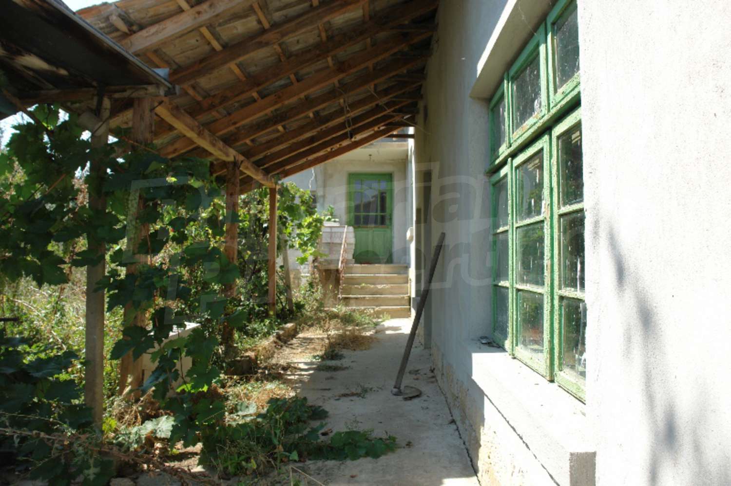 Gallery Picture 9