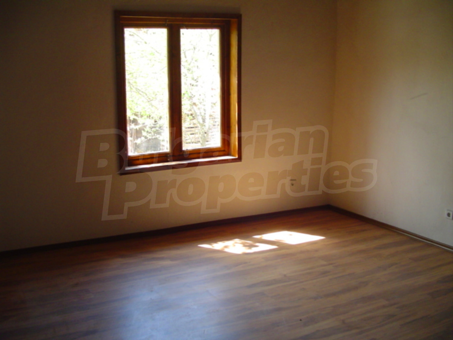 Gallery Picture 10