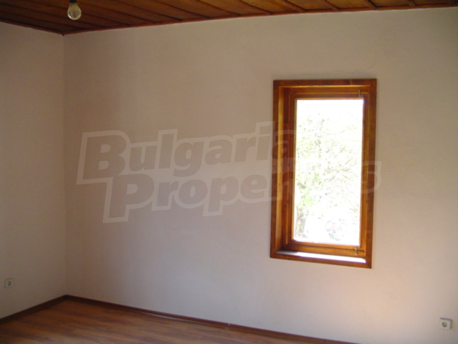 Gallery Picture 9
