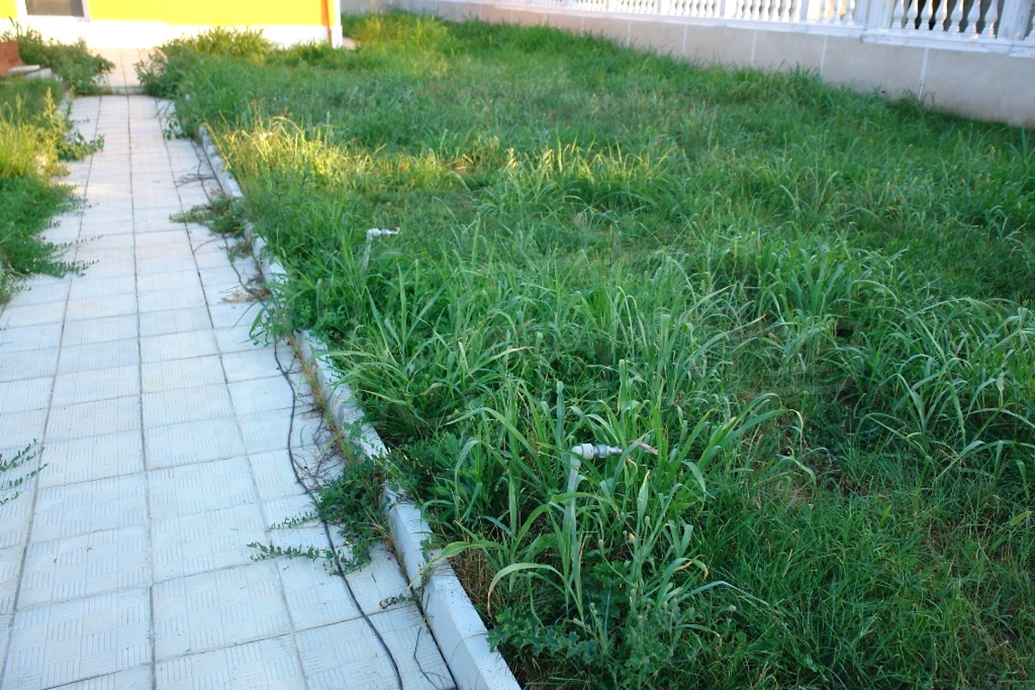 Gallery Picture 10