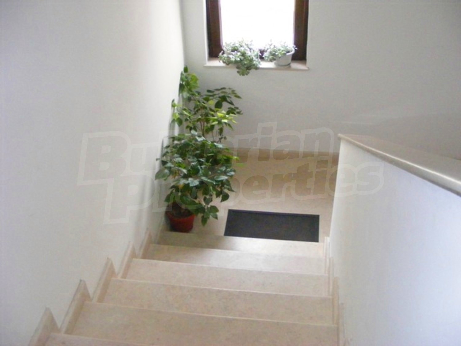 Gallery Picture 18