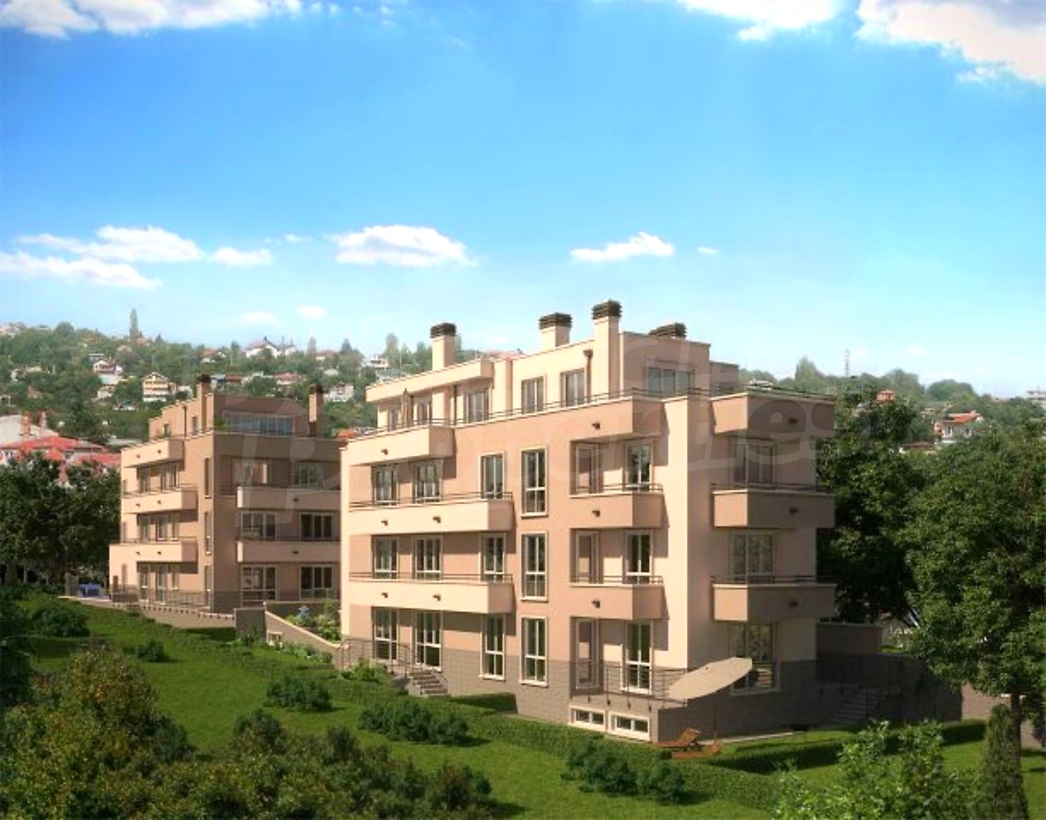 Gallery Picture 27