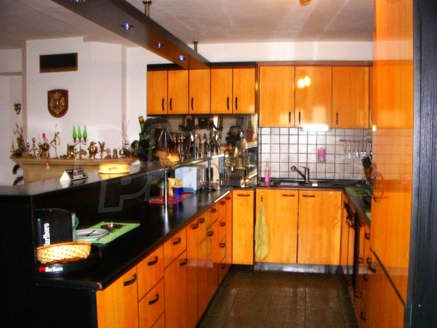Gallery Picture 13