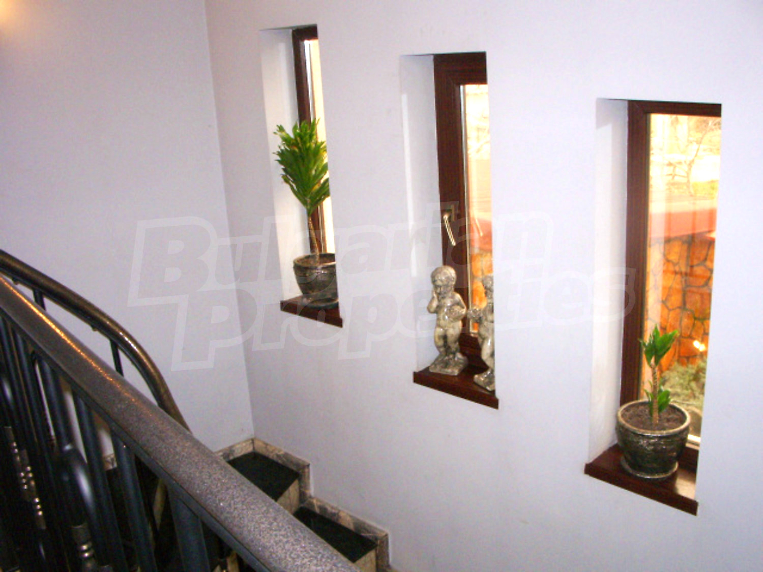 Gallery Picture 18