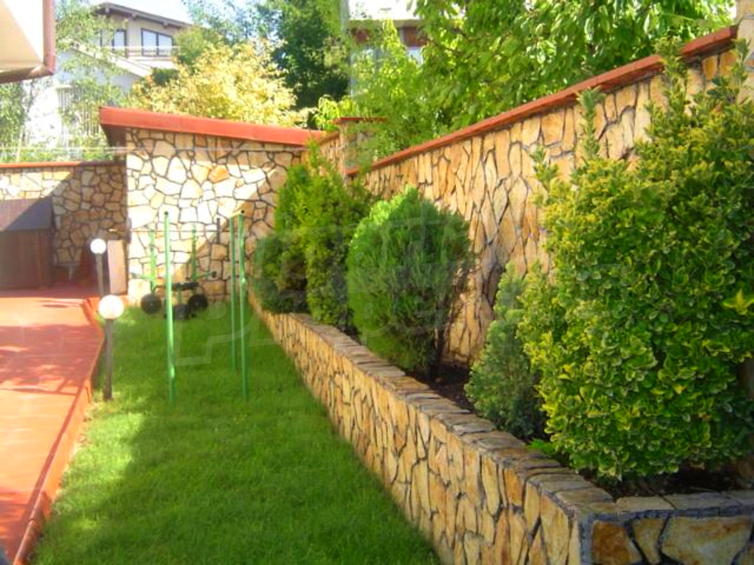 Gallery Picture 5