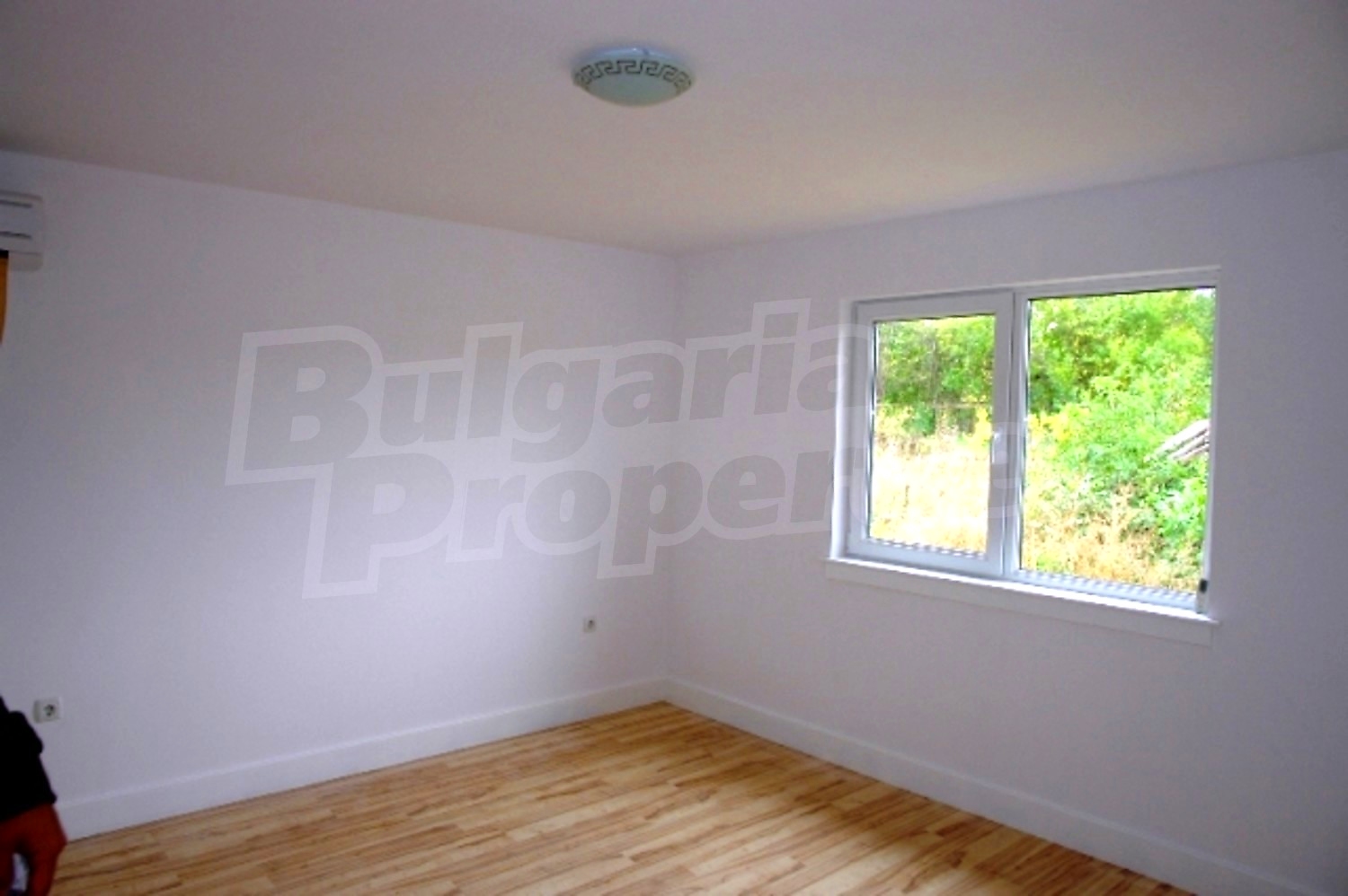 Gallery Picture 14