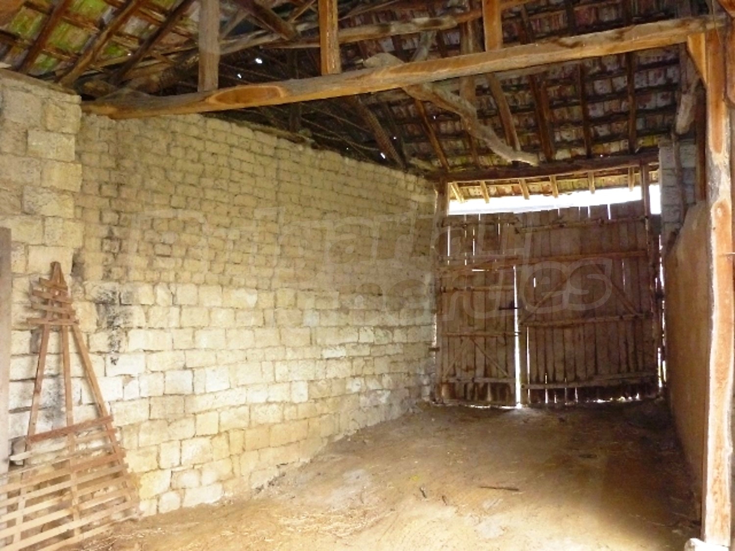 Gallery Picture 17