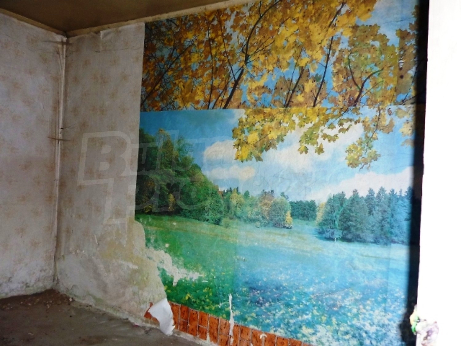 Gallery Picture 19