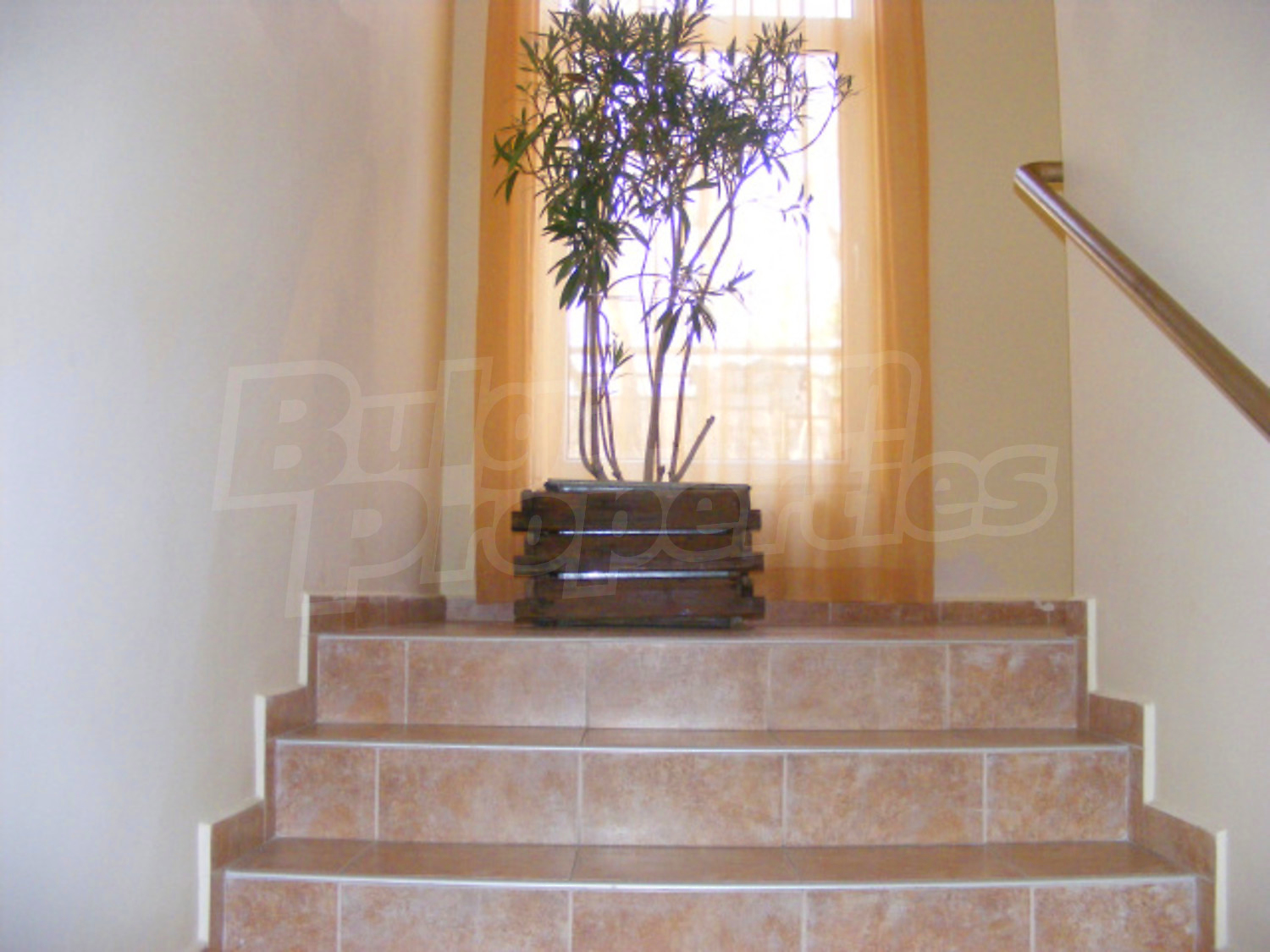 Gallery Picture 6