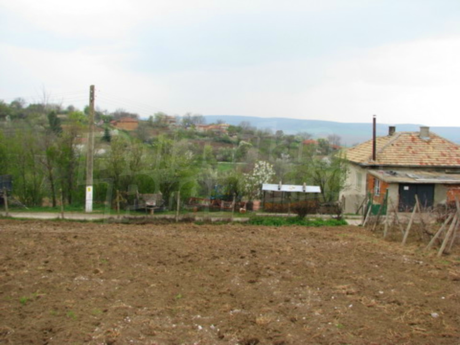 Gallery Picture 10