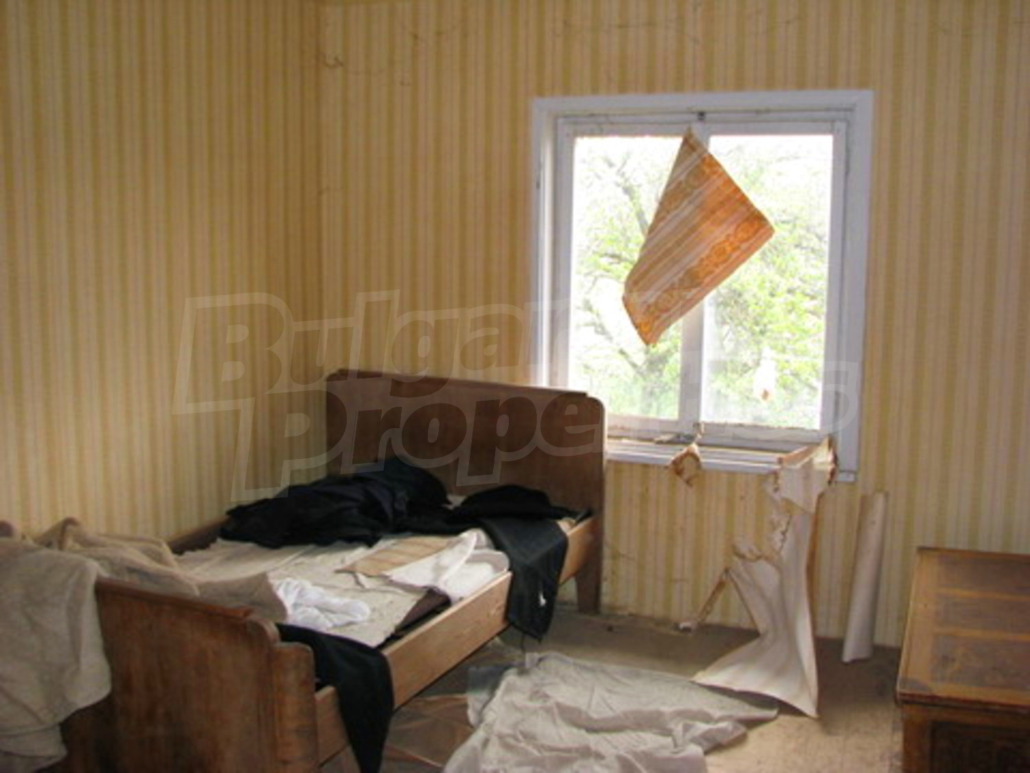 Gallery Picture 5