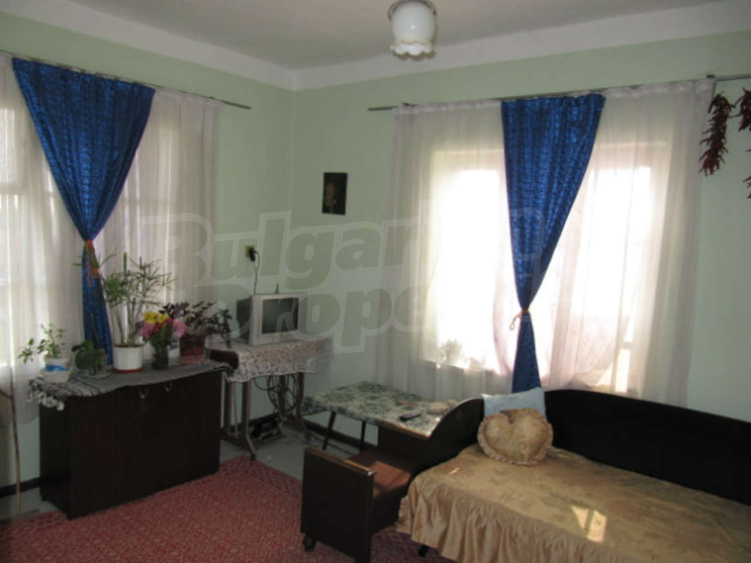 Gallery Picture 15