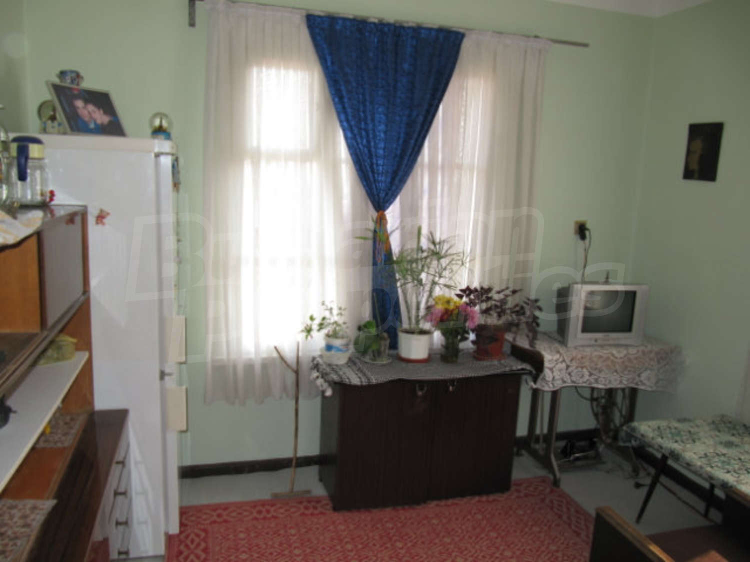 Gallery Picture 16