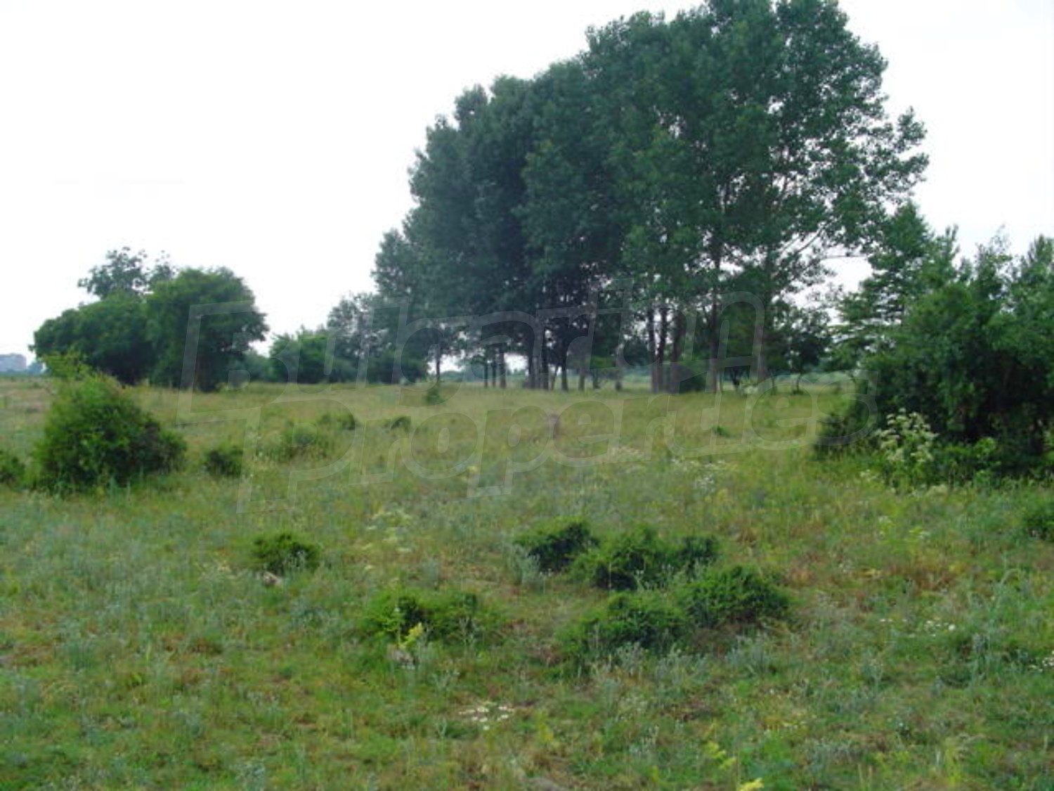 Gallery Picture 7