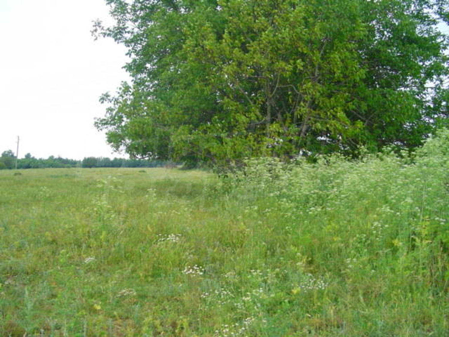 Gallery Picture 8