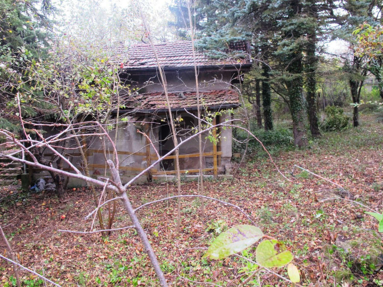 Gallery Picture 5
