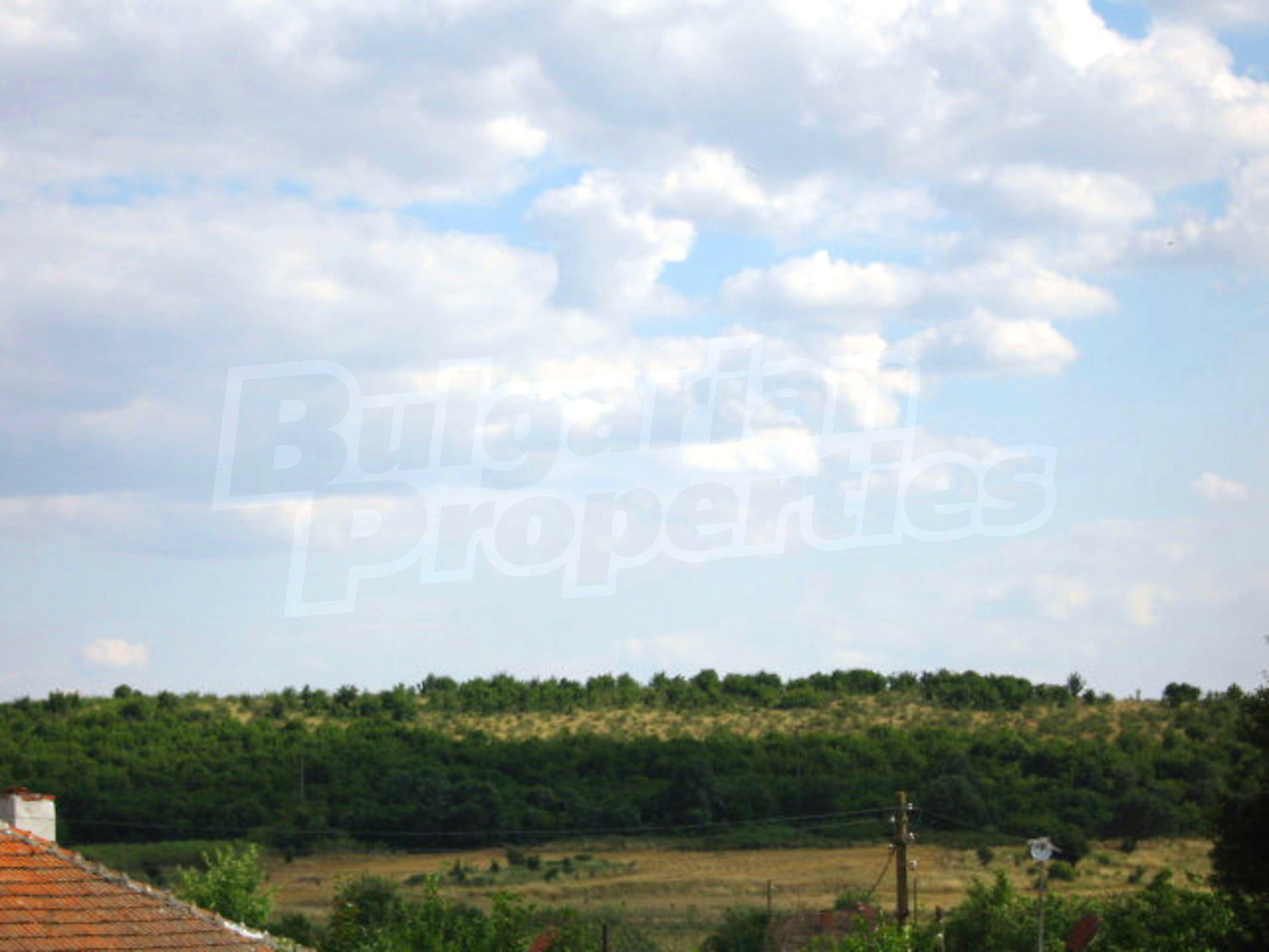 Gallery Picture 24