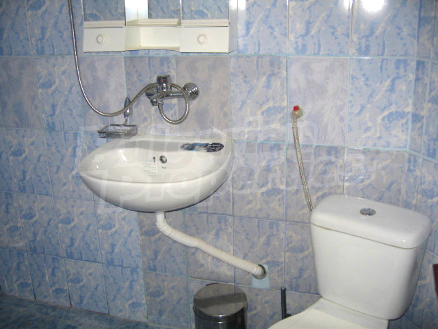 Gallery Picture 29