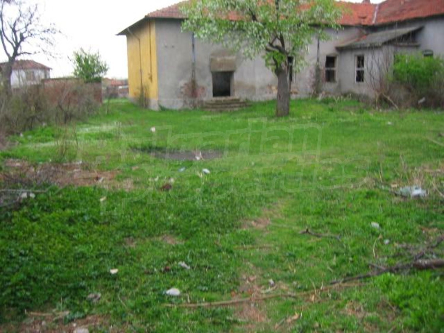 Gallery Picture 9