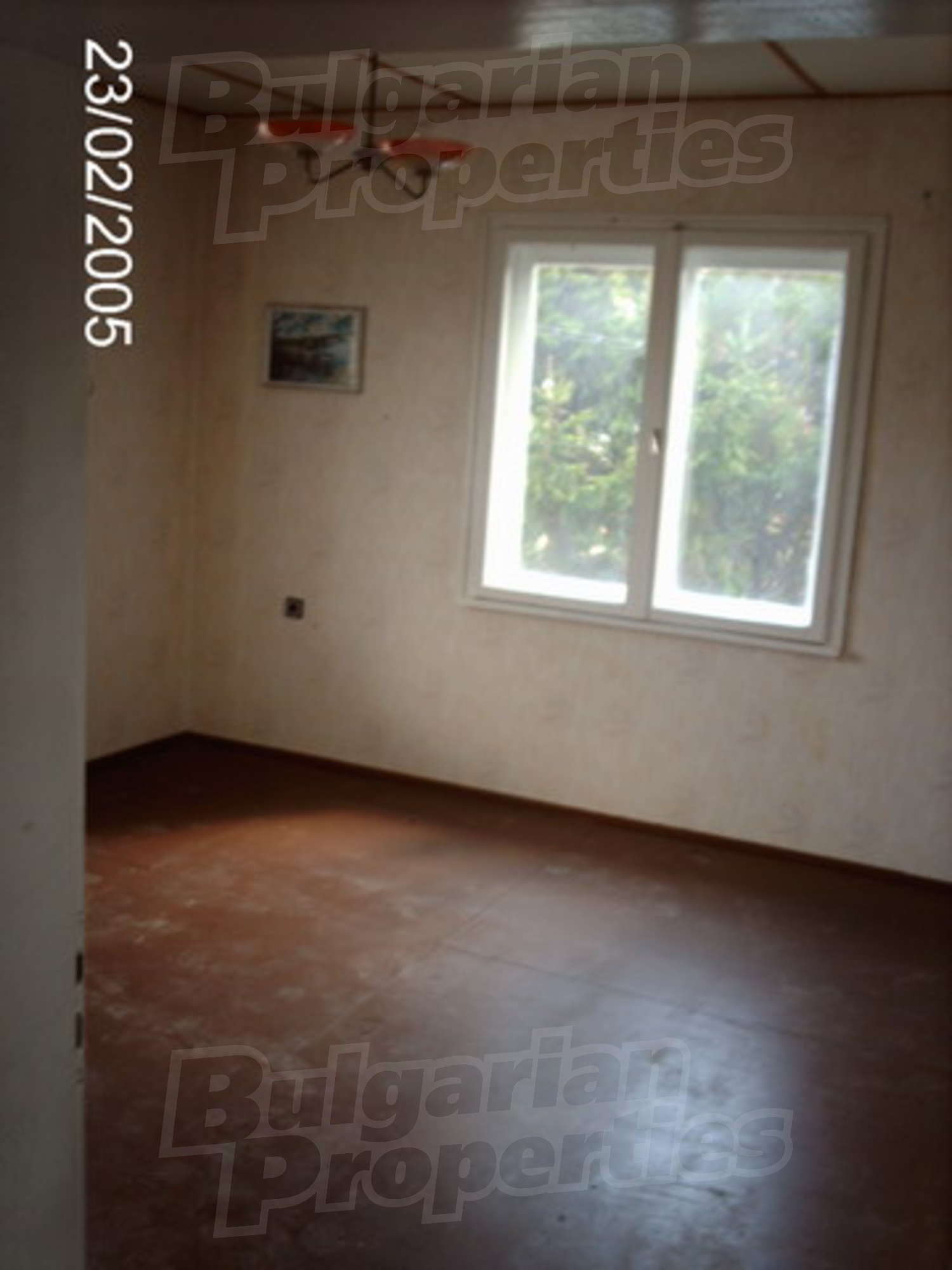 Gallery Picture 13