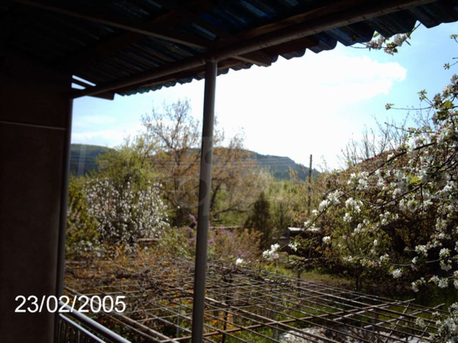 Gallery Picture 16