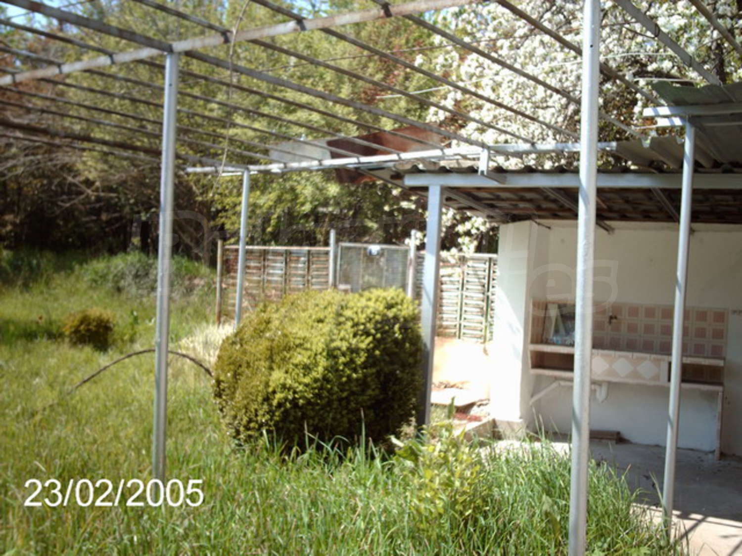 Gallery Picture 18