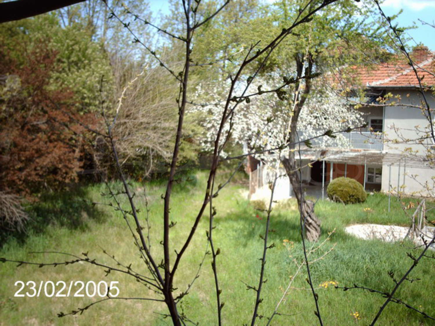 Gallery Picture 19
