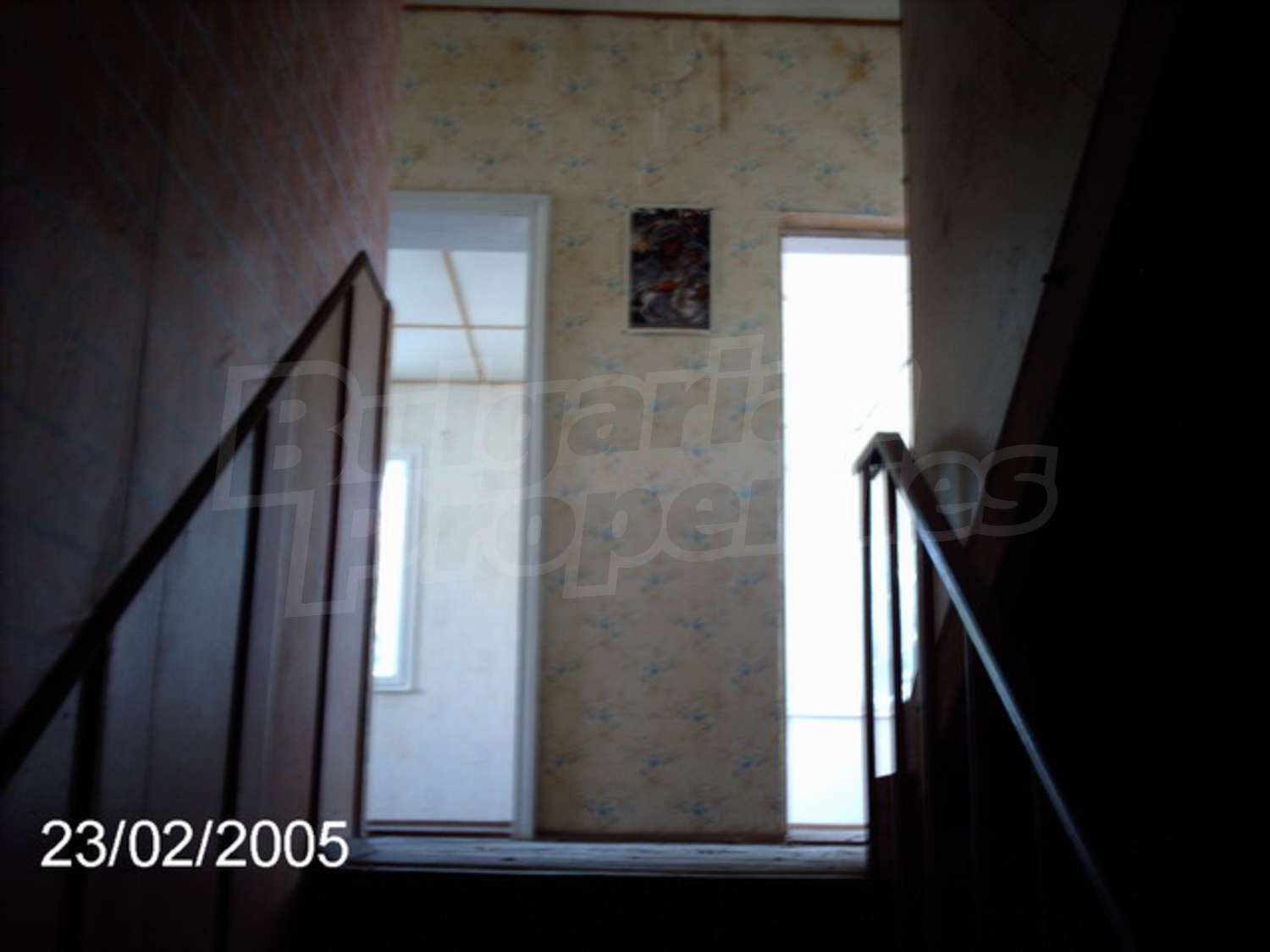 Gallery Picture 25