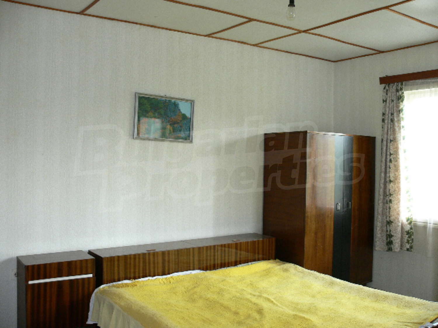 Gallery Picture 26